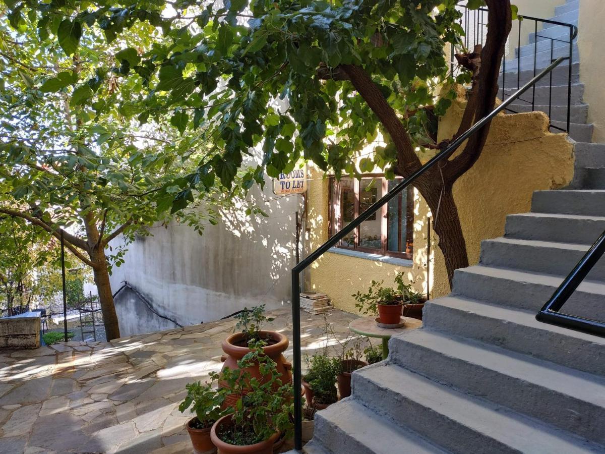 Piso Alonia Hotel Arachova Exterior photo